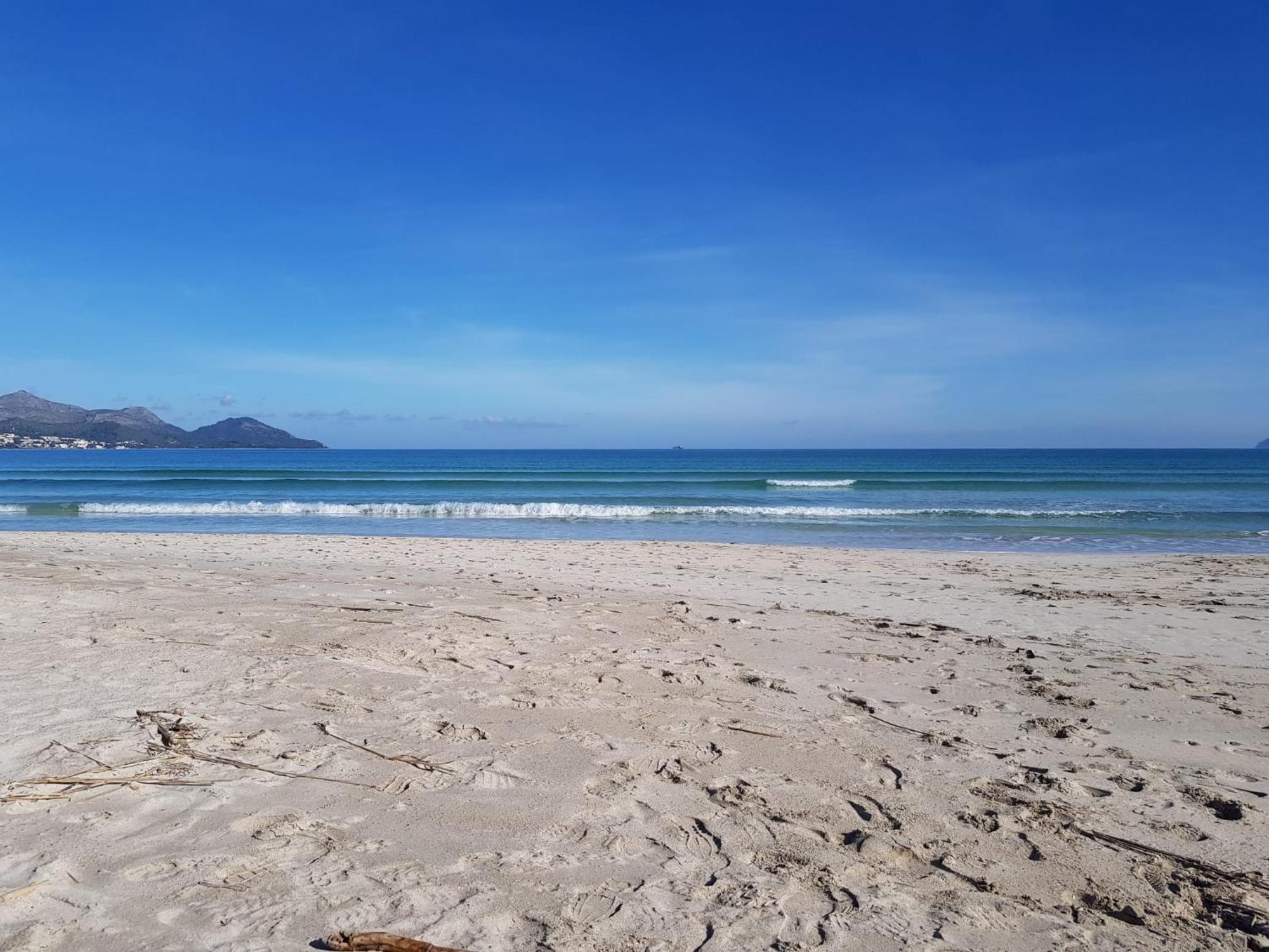 Ideal Property Mallorca - Primavera Port de Alcudia  Luaran gambar